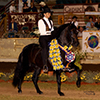 Capella's Carisma , owned by Greener Pastures Ranch, LLC